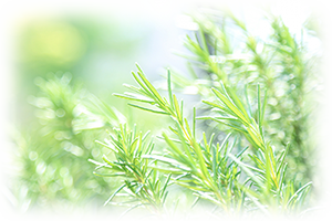 東洋医学でやさしく改善